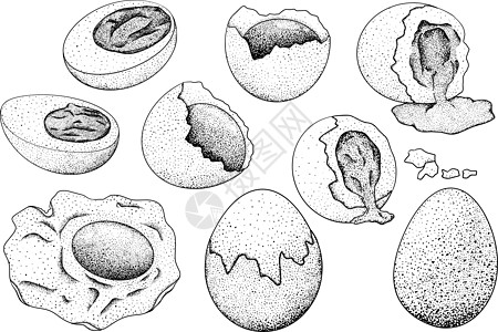 手绘矢量鸡蛋 炒蛋 煎蛋卷 农场鸡蛋 绘图成分 质朴的矢量图营养卡片油炸涂鸦饮食装饰烹饪打印艺术菜单图片