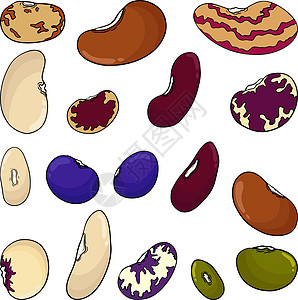 豆荚和豆子 白色背景上的手绘草图 您设计的的豆类和豆荚插图饮料技术娱乐咖啡店宏观食物美食咖啡水果营养图片