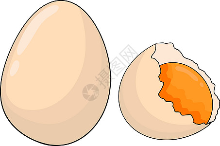 手绘矢量鸡蛋 炒蛋 煎蛋卷 农场鸡蛋 绘图成分 质朴的矢量图厨房草图卡片涂鸦插图菜单装饰营养面包餐厅图片