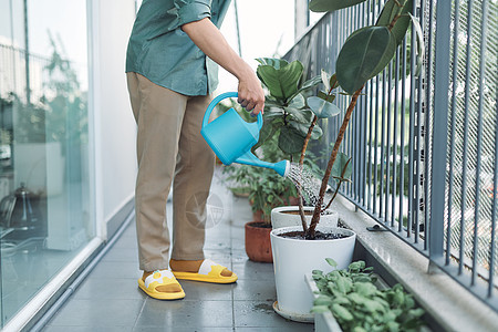 在阳台上浇水的家用植物温室绿色窗户房子园丁男性成人男人花园塑料图片