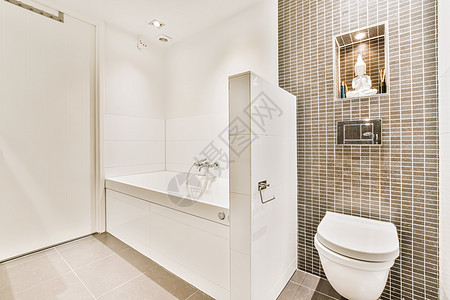 浴室内设计奢华室内设计房地产装饰淋浴洗手间洗澡住宅财富浴缸公寓风格图片