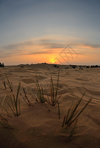 沙漠中美丽的日落口渴蓝色沙丘橙子太阳天空冒险旅游全景地平线图片