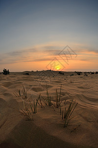 沙漠中美丽的日落爬坡冒险地平线天空橙子阴影旅游沙丘场景太阳图片