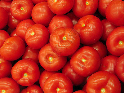 番茄露地宏观沙拉几何学圆形团体花园饮食杂货水果种子图片