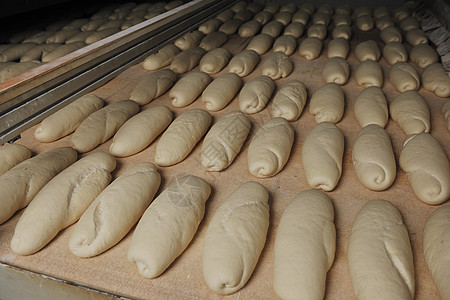 面包工厂生产粮食食物糕点架子店铺传送带主食运输车营养饼干图片