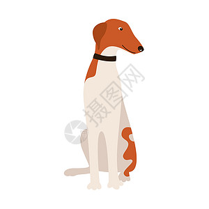 俄罗斯灰狗养狗宠物动物快乐卡通片尾巴插图犬类打印图片
