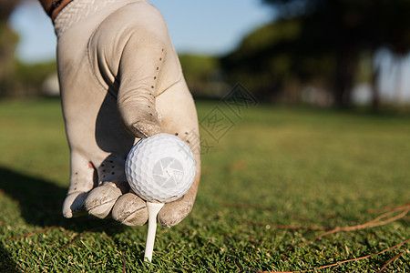 高尔夫球员手上紧贴的高尔夫球手控制闲暇蓝色手套皮革活动运动玩家课程游戏图片