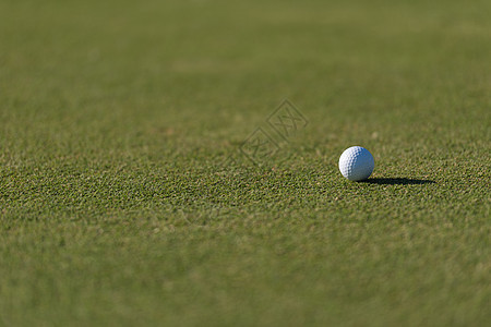 草地上高尔夫球竞赛球座俱乐部爱好场地掩体天空推杆杯子旗帜图片