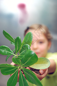 持有小植物的女童女孩花园生活商业婴儿叶子微笑身体童年青年图片