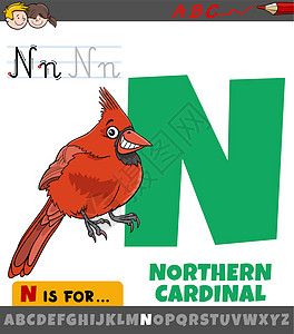 字母 N 用北端主要鸟类字符的字母字母N图片