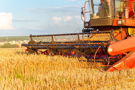 合并收割机工作收成食物金子收获小麦谷物种子稻草草地农田图片