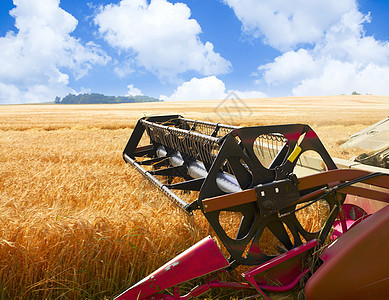合并收割器粮食生产小麦种子力量拖拉机场景机械金子国家图片