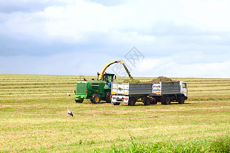 运粮卡车货物收成工作耳朵稻草生产农场种子运输机器图片