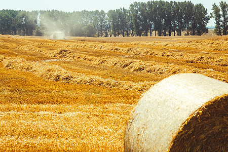 合并收割器谷物拖拉机金子小麦工作收割机场景草地农村场地图片