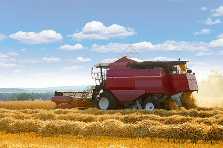 收割器是大宗收获的谷物稻草收割机收成场景拖拉机工作农场小麦机械农村图片