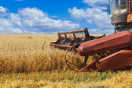 联合收获的粮食田小麦成熟天空收割机化合物季节场景农场机器燕麦食物农村图片