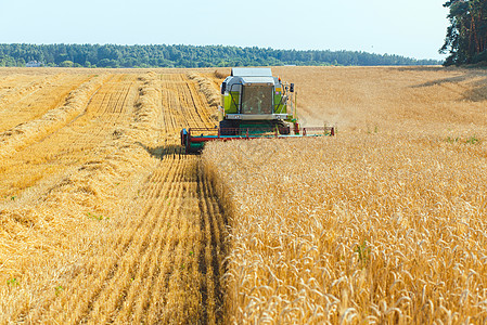 合并收割器工作场地收割机面包粮食农田农场收获种子国家图片