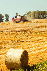 合并收割器收成谷物食物农村土地玉米收获农田拖拉机工作图片