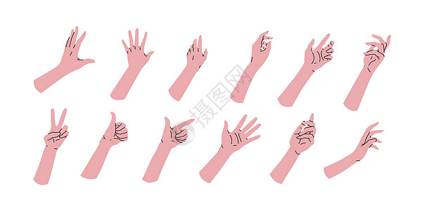 设置卡通手的集合 不同的设置位置 角度 参考剪贴画模板 手腕 手掌问候语线条图标集帮助姿势多样性图表艺术媒体展示图片