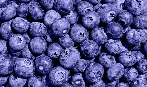 蓝莓背景颜色非常深蓝色图片