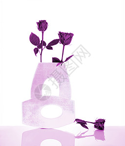 两个粉红的花瓶 紫玫瑰图片