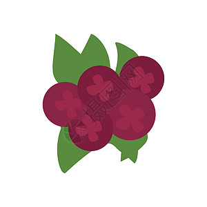 巴西樱桃草莓 孤立的紫浆果 矢量图像 平板设计插画