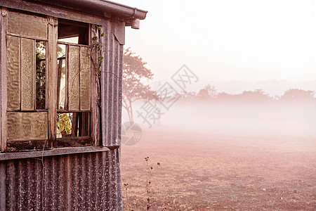 一个老破旧的棚屋 在福吉早晨瓦楞温度破坏地形藤蔓浮雕状况薄雾水分地面图片