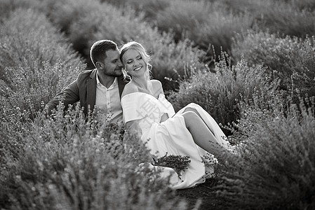 在熏衣草地上的新娘和新郎花园蓝色薰衣草地面女孩套装白色婚礼植物场地背景图片
