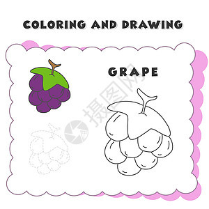彩色和绘画书元素葡萄 葡萄颜色书籍 彩色页面图片