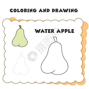 苹果的彩色绘图 水彩风格的五颜六色水果的新鲜设计 白色背景上的矢量营销插图图片