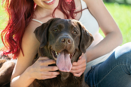 年轻女人和她的狗在公园里猎犬成人黑色喜悦幸福女性动物乐趣宠物中年图片