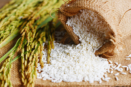 麻袋上的白米和收获的黄皮稻田 收获大米和粮食谷物烹饪概念营养环境金子农田种子场地麻布饮食勺子食物图片