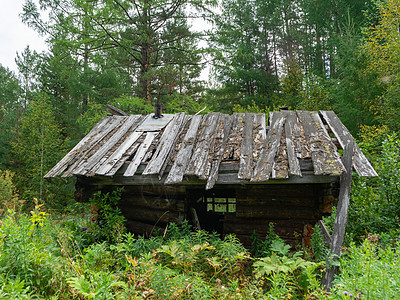在泰加的一座废弃的木屋 西伯利亚的一个狩猎小屋草地乡村窝棚森林木头针叶林衰变猎屋谷仓边缘图片