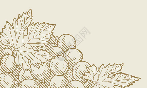 复古串葡萄邮票卷须绘画框架菜单草图风格包装木刻标签图片