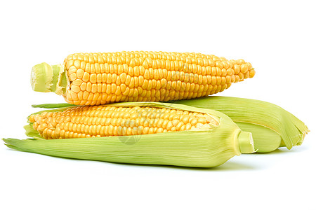 玉米图片白色背景上隔离的新鲜有机玉米鳕营养叶子农业饮食玉米内核植物棒子农场粮食背景