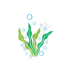 海藻标志模板矢量图标野生动物养分植物叶子杂草夹子涂鸦藻类生态生活图片