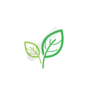 Leaf 徽标矢量图标艺术插图力量技术环境植物商业标识热带公司图片