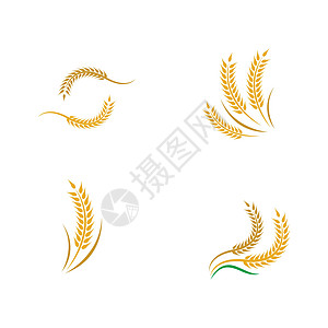 小麦矢量 ico植物面包产品横幅粮食金子农业麸质市场标签图片
