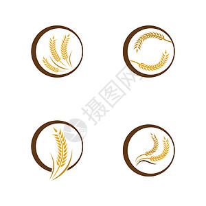 小麦标识标标模板矢量图标标签麸质燕麦面包农场产品营养市场农业食物图片