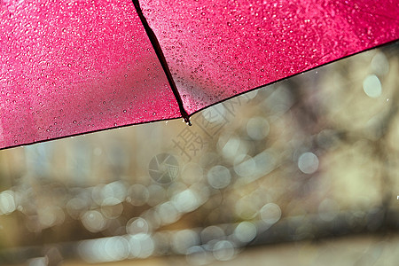 在阳光明媚的夏日 红雨伞碎成碎片 有雨滴图片