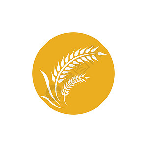 小麦标志矢量图标营养谷物面粉横幅植物燕麦收成金子插图玉米图片