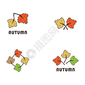 它制作图案秋天矢量图标森林美丽季节橙子生态白色叶子橡木金子生活图片