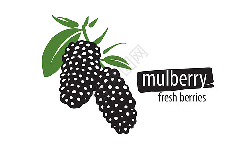 白色背景上的 Lawn 矢量 Muulberry图片