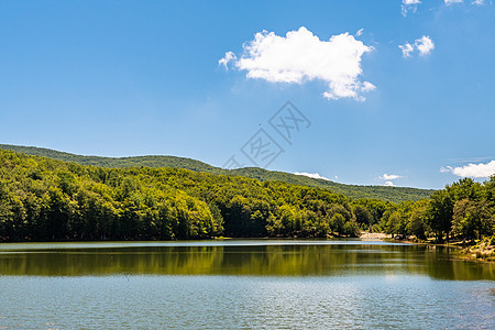 Maulazzo湖 意大利西西里Nebrodi公园蓝色公园眼睛森林分支机构火山季节环境木头阳光图片