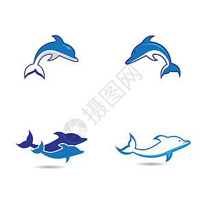海豚标志模板矢量图标动物艺术插图野生动物海洋水族馆游泳微笑生活荒野图片