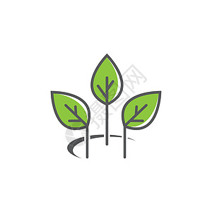 Leaf 标识模板矢量图标装饰品生活活力收藏环境热带绿色商业生物公司图片