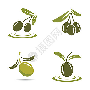 橄榄徽标图像图饮食植物绿色标识烹饪食物标签黑色农业叶子图片