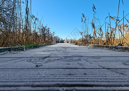 蓝色天空湖边的码头上美丽的风景池塘木头森林全景反射树木小路日落湖景假期图片