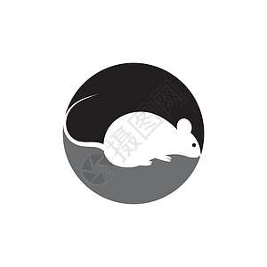 鼠标图标 Vecto晶须棕色荒野哺乳动物野生动物害虫卡通片绘画宠物草图图片