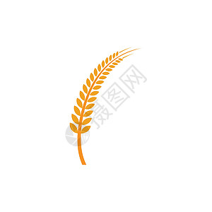 大米标识矢量生长麸质插图横幅黄色标签燕麦耳朵粮食植物图片